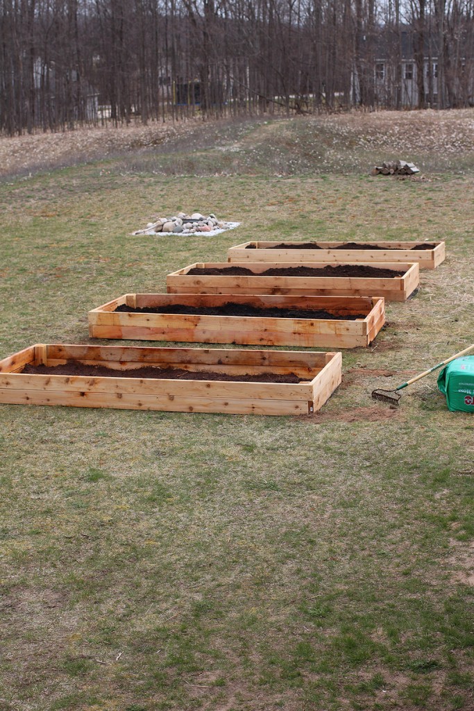 completed raised garden beds