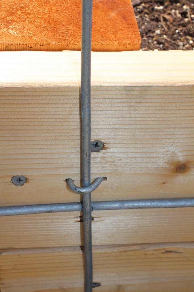 fence nails securing cattle panels