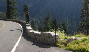 The author of The Curious Road in Mt. Rainier National Park