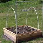 Raised garden bed with vertical trellis and PVC hoops for covers or mini cold frames