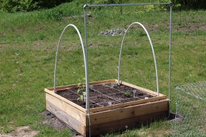 Raised garden bed with vertical trellis and PVC hoops for covers or mini cold frames