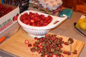 Freshly picked strawberries for strawberry jam