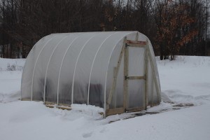 winter DIY greenhouse
