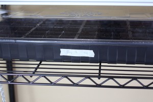 label seed trays