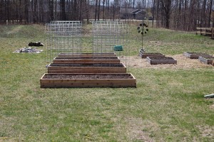 front view of cattle panel trellises